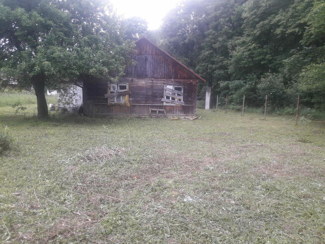 Siedlisko 6,5 H w jednym kawałku w wnęce w lesie dwa domy