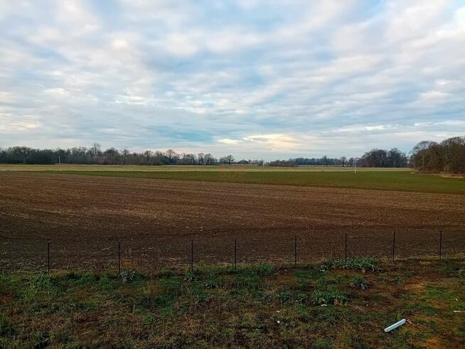 Dom Wrocław Psie Pole, Widawa, Główna