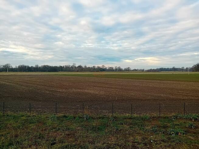 Dom Wrocław Psie Pole, Widawa, Główna