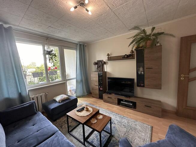 Mieszkanie 2pok. Darż pod Maszewem na sprzedaż