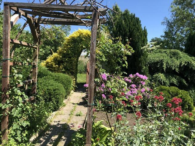 Mieszkanie 2pok. Darż pod Maszewem na sprzedaż