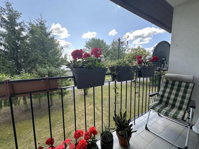 Mieszkanie 2pok. Darż pod Maszewem na sprzedaż