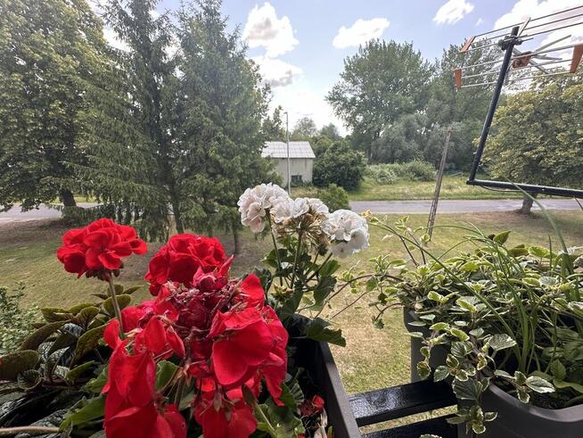 Mieszkanie 2pok. Darż pod Maszewem na sprzedaż