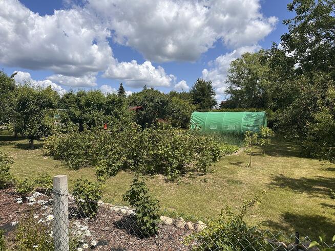 Mieszkanie 2pok. Darż pod Maszewem na sprzedaż