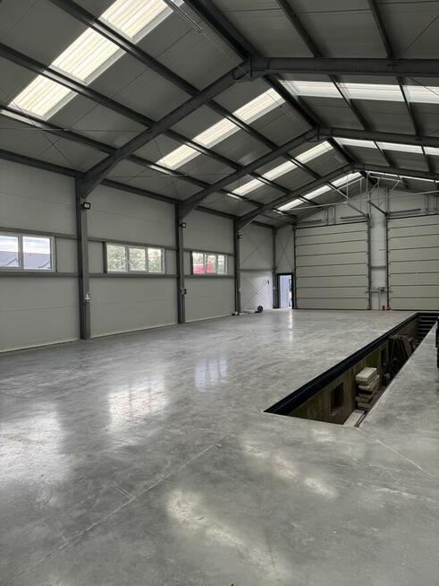 Nowa hala do wynajęcia