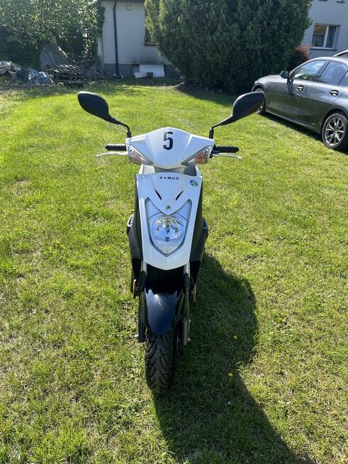 Skuter Kymco Agility Delivery 50ccm 2019