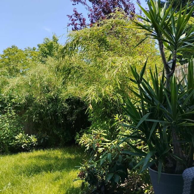 Dom szeregowy na granicy Łodzi i Zgierza