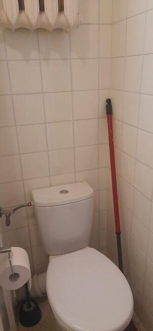 mieszkanie wynajmę także Ukraińcom