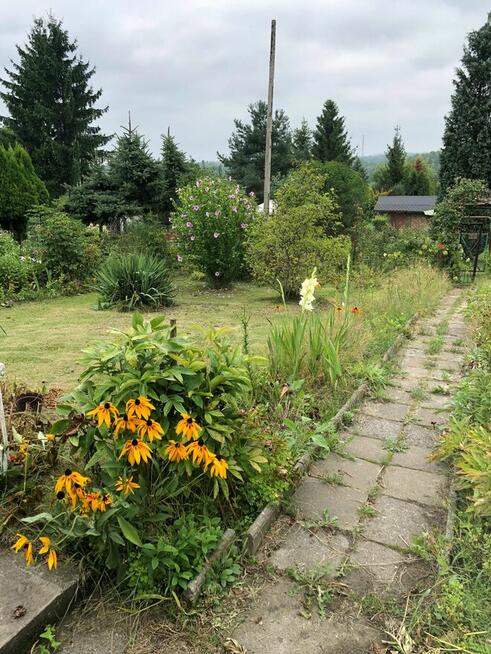 Ogród ROD Zorza Bytom