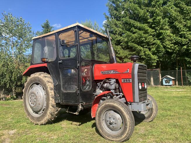 Sprzedam Ciągnik Massey Ferguson MF255 Bezpośrednio od Rolni