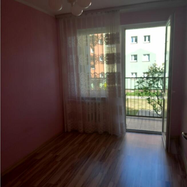 Mieszkanie w centrum miasta