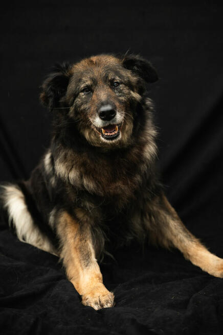 jakby szukała czegoś, co dawno zniknęło.