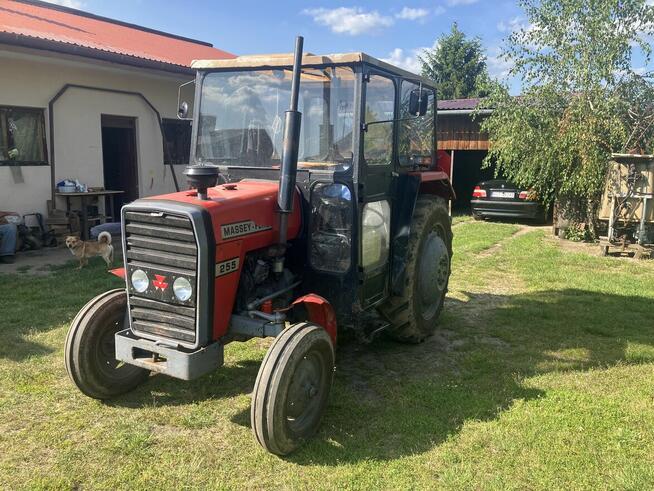 Sprzedam Ciągnik Massey Ferguson MF255 Bezpośrednio od Rolni