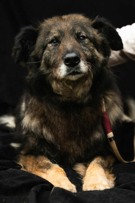 jakby szukała czegoś, co dawno zniknęło.