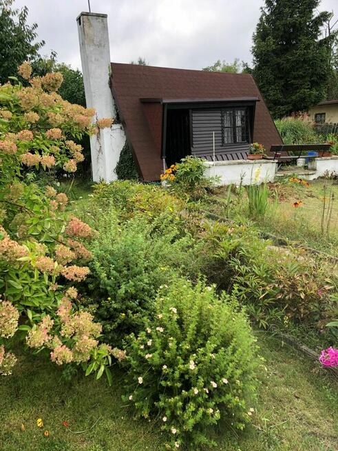 Ogród ROD Zorza Bytom