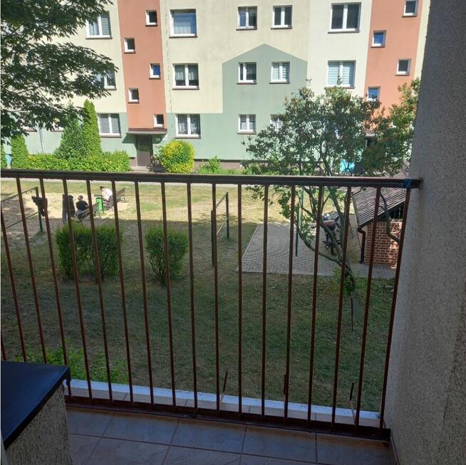 Mieszkanie w centrum miasta