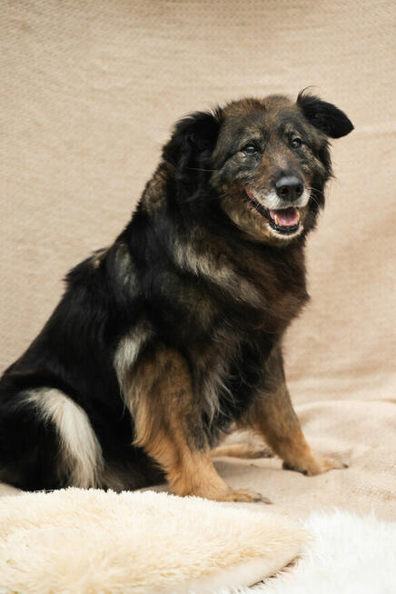 jakby szukała czegoś, co dawno zniknęło.