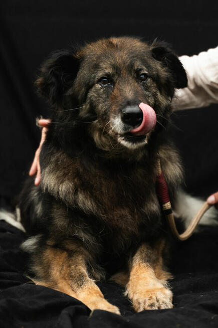 jakby szukała czegoś, co dawno zniknęło.