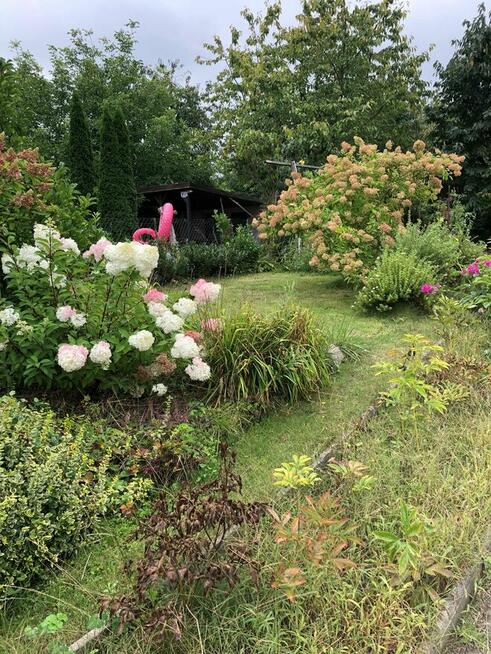 Ogród ROD Zorza Bytom