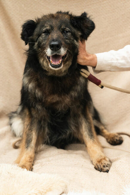 jakby szukała czegoś, co dawno zniknęło.