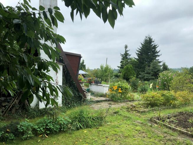 Ogród ROD Zorza Bytom