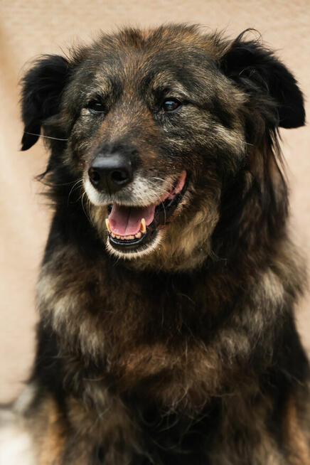 jakby szukała czegoś, co dawno zniknęło.