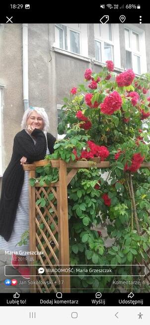 Szukam pracy stałej.