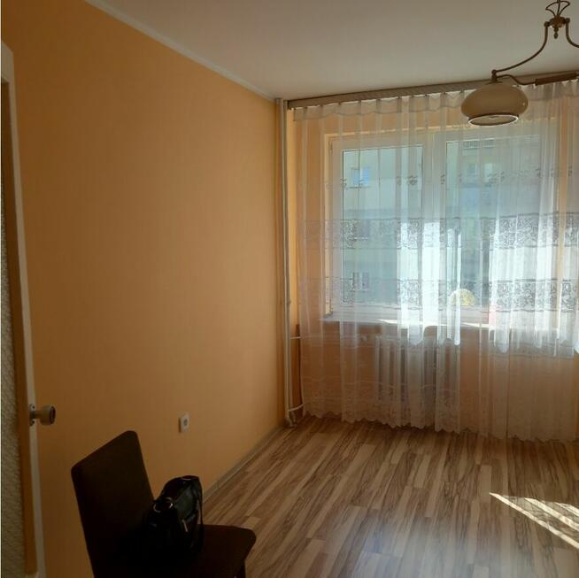 Mieszkanie w centrum miasta