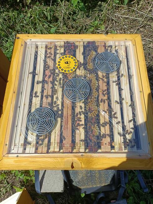 Sprzedam miód naturalny