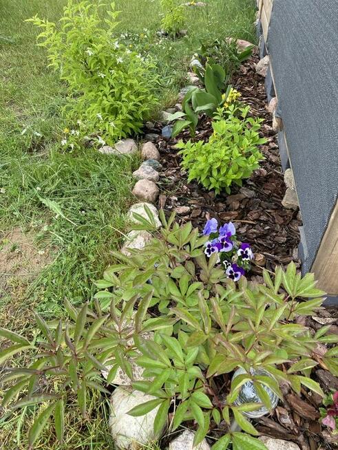 Domek 35 m2 nad jeziorem Lutobórz - Wiktorowo