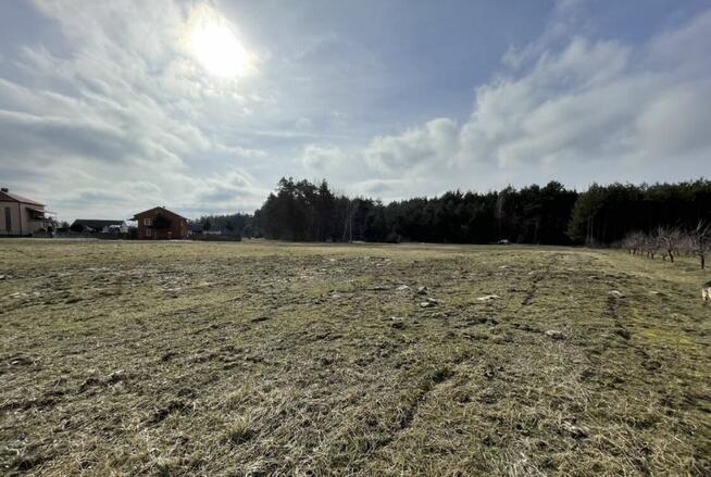 Sprzedam działkę rolno-budowlaną 56 ar