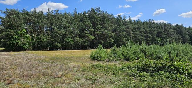 Działka bud. 1090M2; 1341M2; Nowa Wola