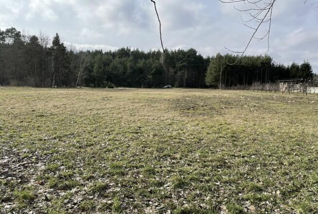 Sprzedam działkę rolno-budowlaną 56 ar