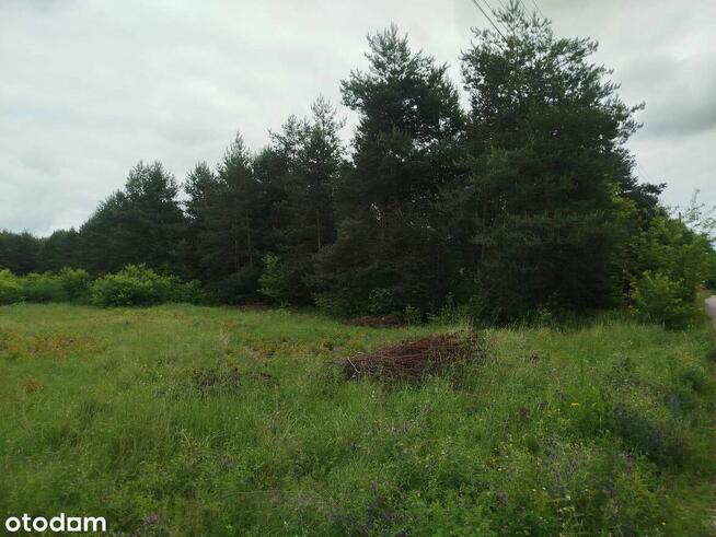 2 DZIAŁKI Z WARUNKAMI ZABUDOWY 2725m2 i 6110m2/