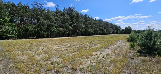 Działka bud. 1090M2; 1341M2; Nowa Wola