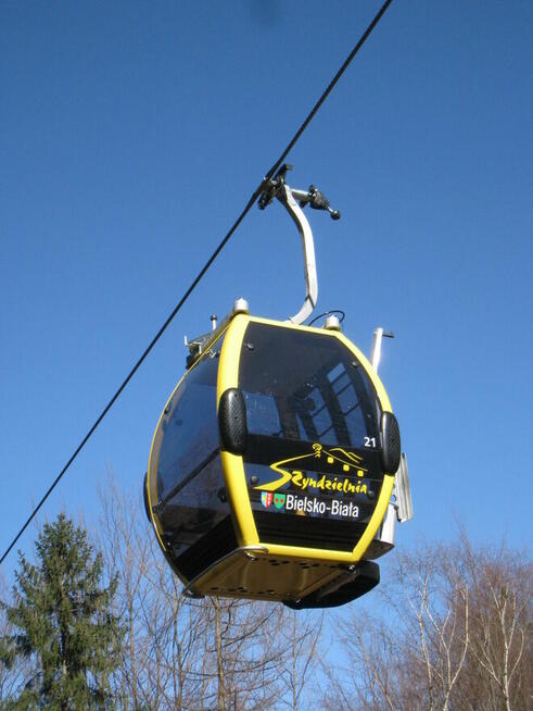 Łobuz
