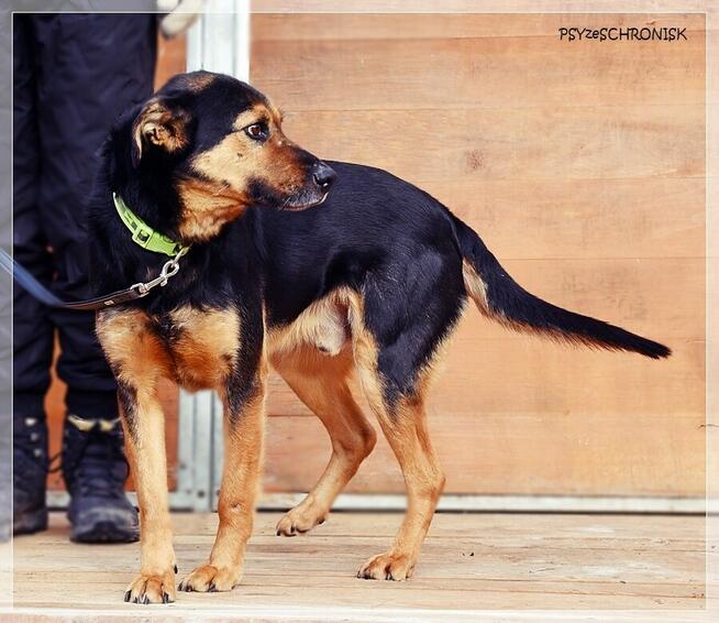 Bastek - wspaniały Przyjaciel z wielkim sercem