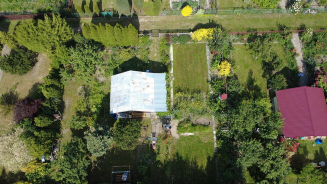 Działka ROD we Włodawie (7 km od jez. Białego)