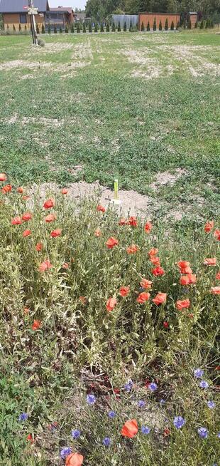 Działka budowlana 1015 m2, blisko jeziora, obok Chodcza