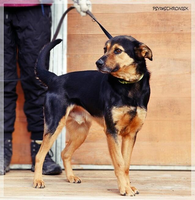 Bastek - wspaniały Przyjaciel z wielkim sercem