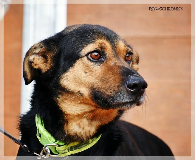 Bastek - wspaniały Przyjaciel z wielkim sercem