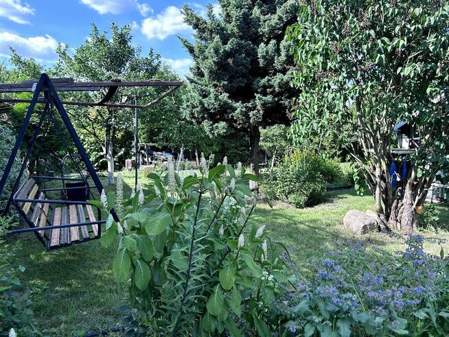 Działka ROD we Włodawie (7 km od jez. Białego)