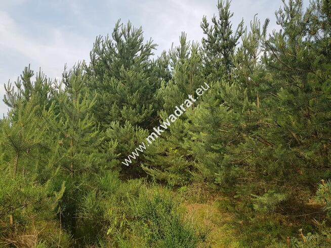 Działka 4000 m² - usługowo-budowlana MPZP!