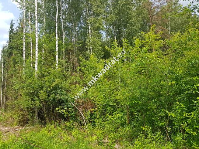 Działka 5000 m² Piotrkowice