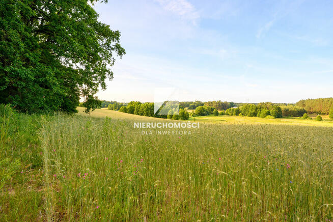 Kameralne działki budowlane w Kłodawie, 17-25 ar
