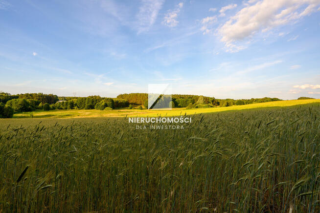 Kameralne działki budowlane w Kłodawie, 17-25 ar