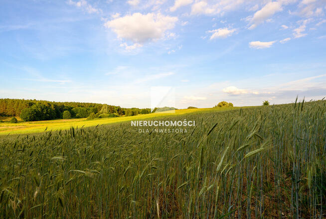 Kameralne działki budowlane w Kłodawie, 17-25 ar