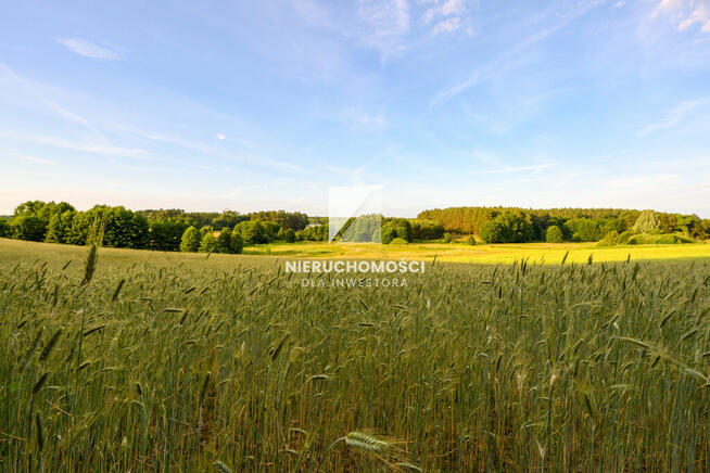 Kameralne działki budowlane w Kłodawie, 17-25 ar