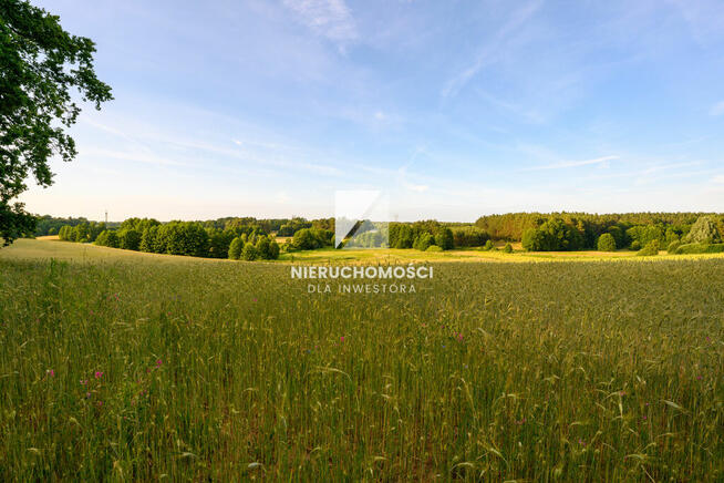 Kameralne działki budowlane w Kłodawie, 17-25 ar