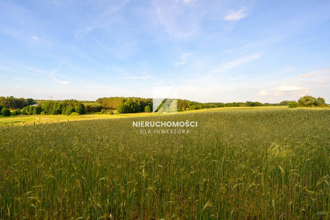 Kameralne działki budowlane w Kłodawie, 17-25 ar